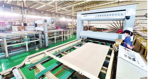 智改數轉驅動產業革新 豐林集團人造板產銷量激增超20%