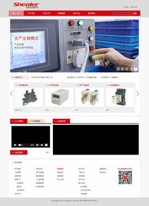 浙江申樂電氣 攜手上海專業(yè)團(tuán)隊(duì)，打造數(shù)字化企業(yè)新門戶